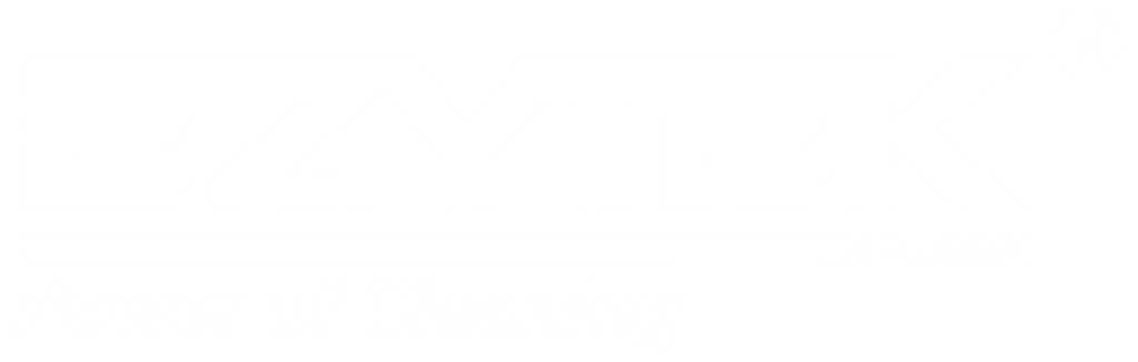 EZYTEK WHITE PNG LOGO